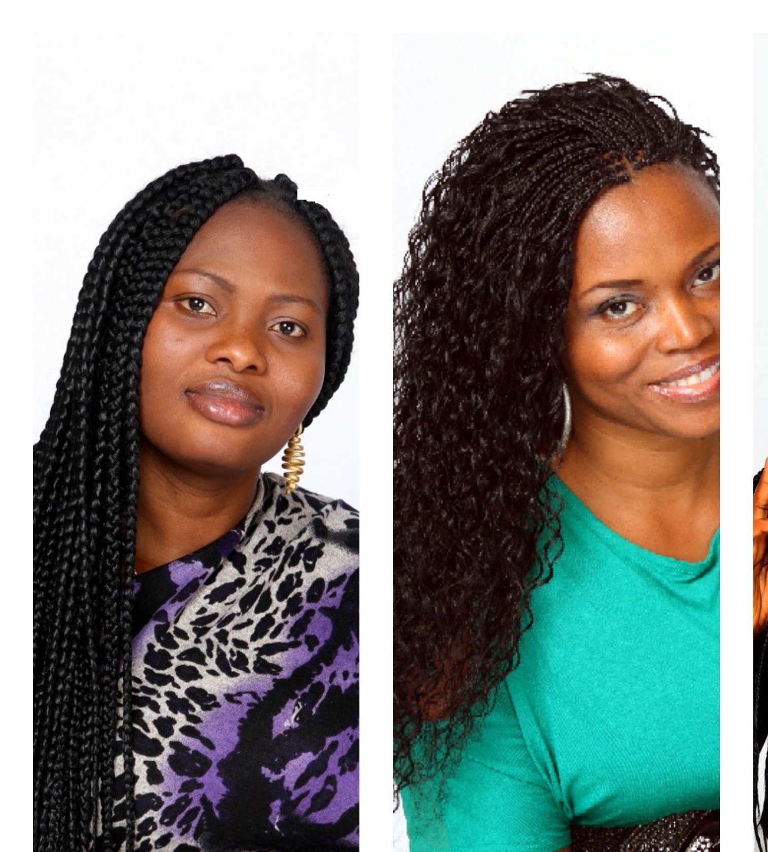 Braiding style 17